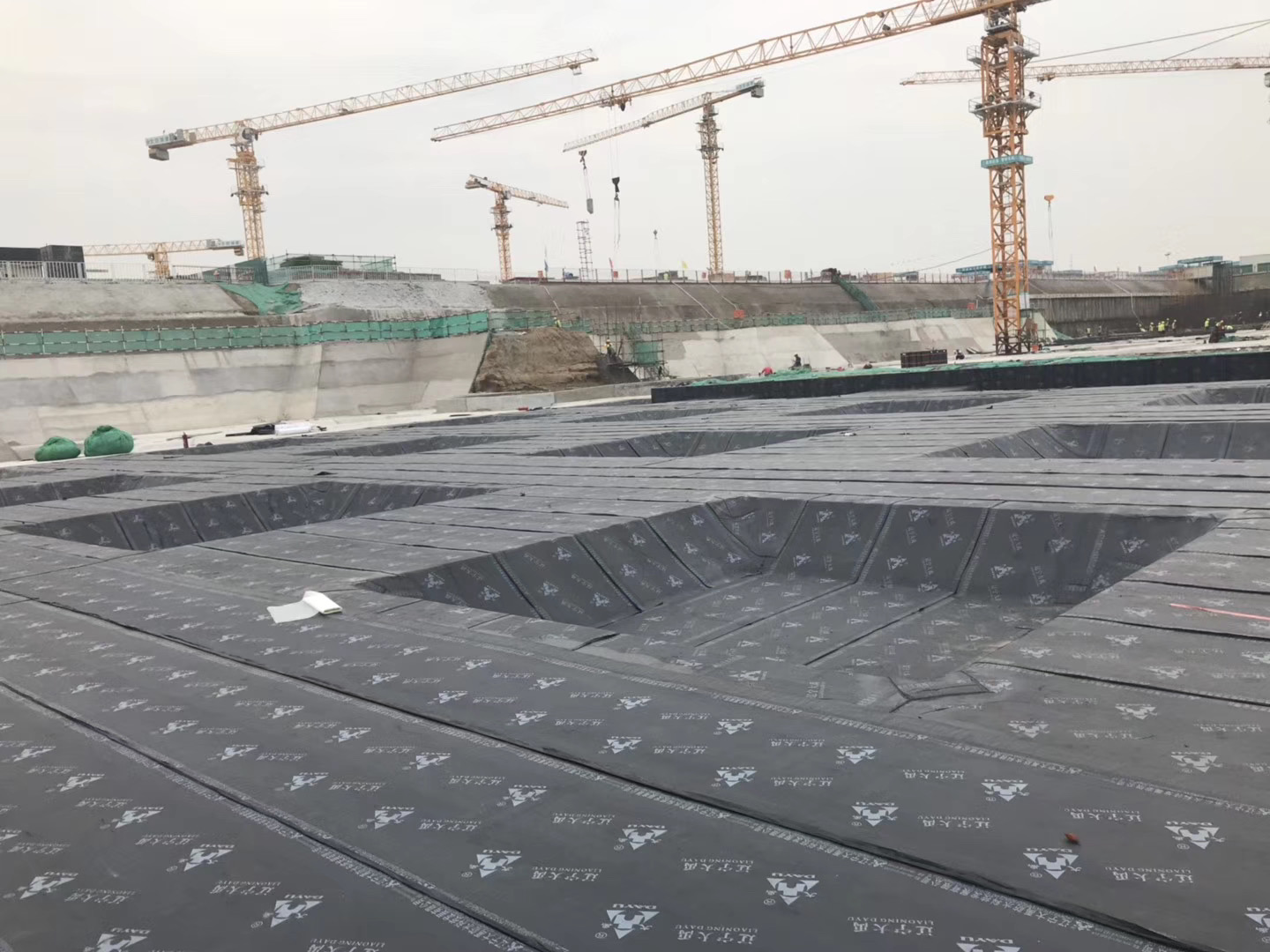 1586165527522147.jpg 微信圖片_20200323211838.jpg